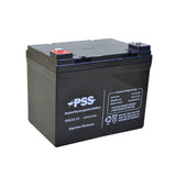 Sealed Lead-Acid Batteries