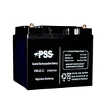 Sealed Lead-Acid Batteries