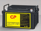 Sealed Lead-Acid Batteries